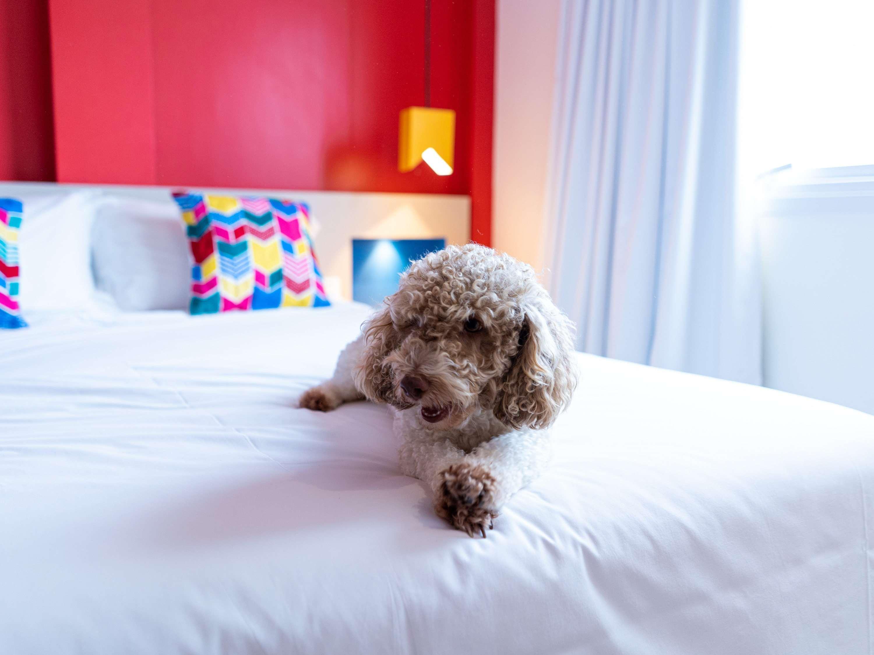 Ibis Styles Campina Grande 호텔 외부 사진